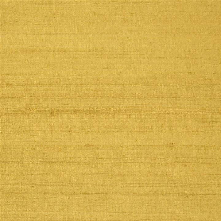 Chinon Tygprov Honey