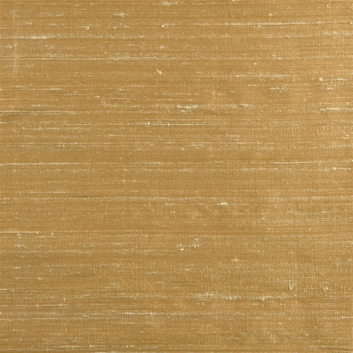 Chinon Tygprov Maple