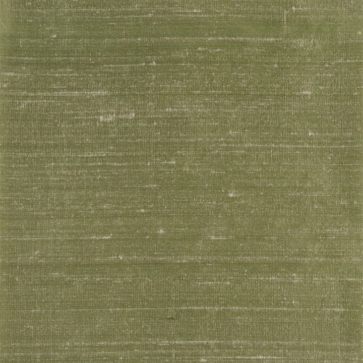 Chinon Tygprov Olive