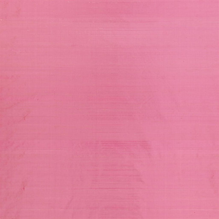 Chinon Tygprov Peony