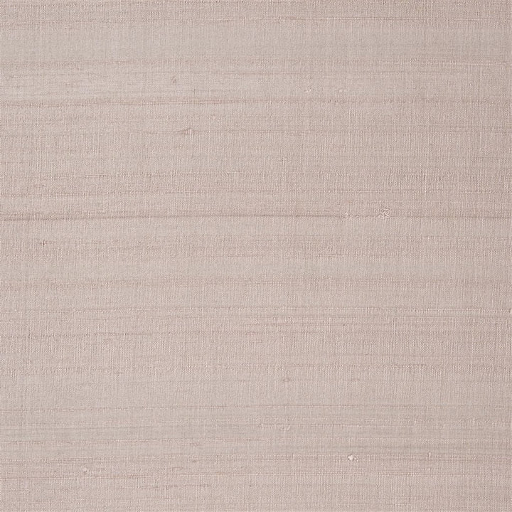 Chinon Tygprov Petal