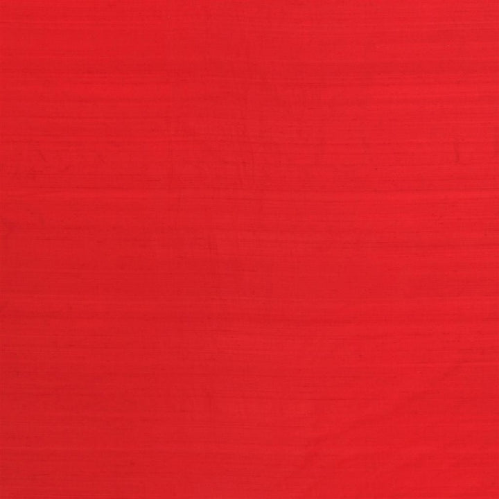 Chinon Tygprov Poppy