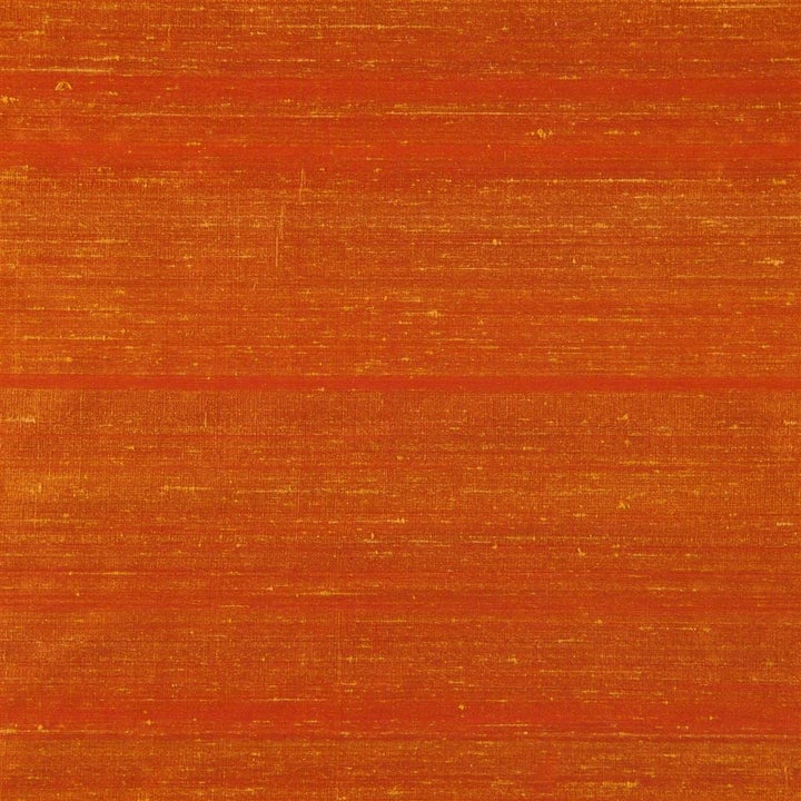 Chinon Tygprov Saffron
