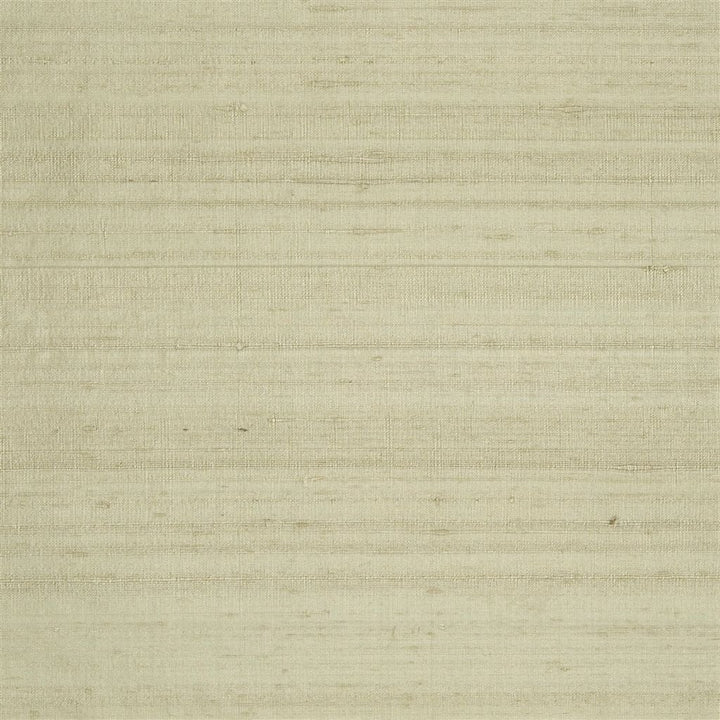 Chinon Tygprov Sand