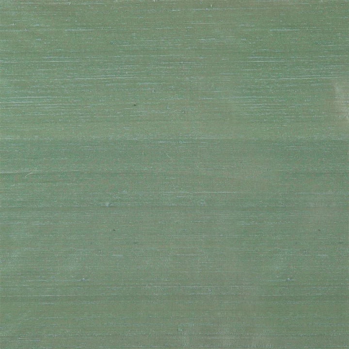 Chinon Tygprov Sea