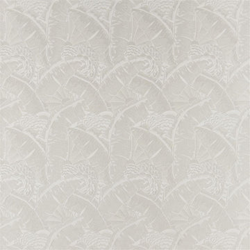Coco De Mer Tygprov Opal