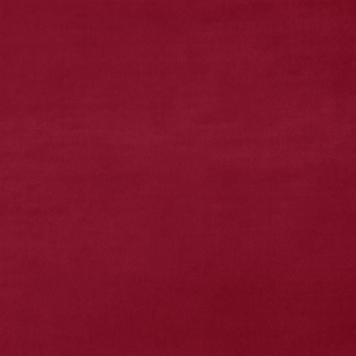 Dennise Tygprov Rose