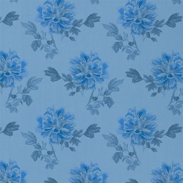 Hiyoku Tygprov Cobalt