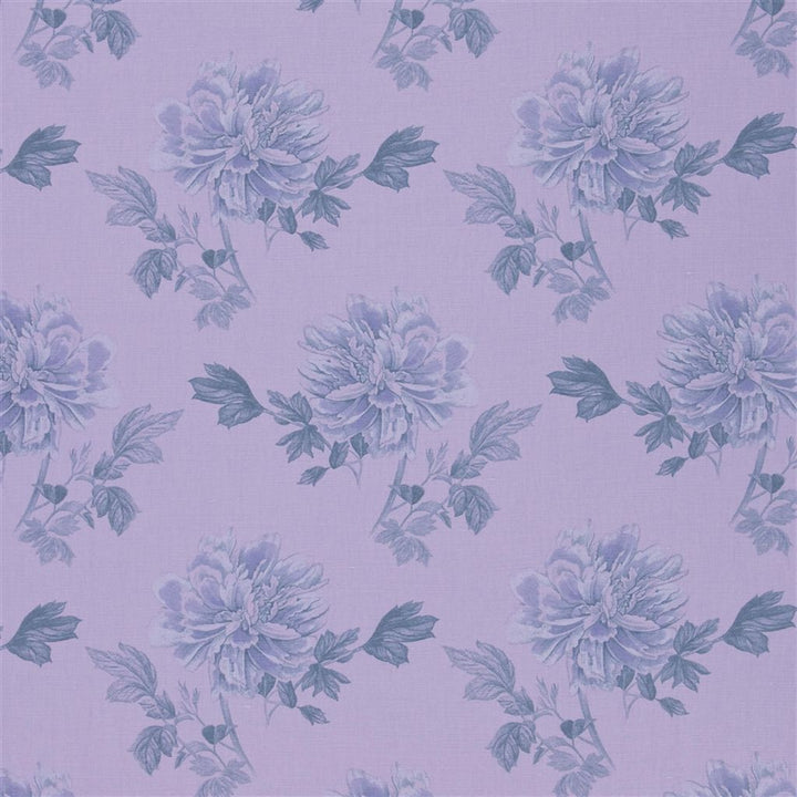 Hiyoku Tygprov Lavender