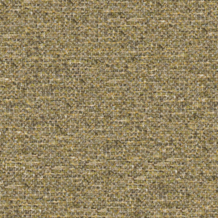 Ingleton Tygprov Ochre