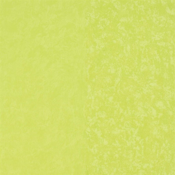 Kalpana Tapetprov Lime