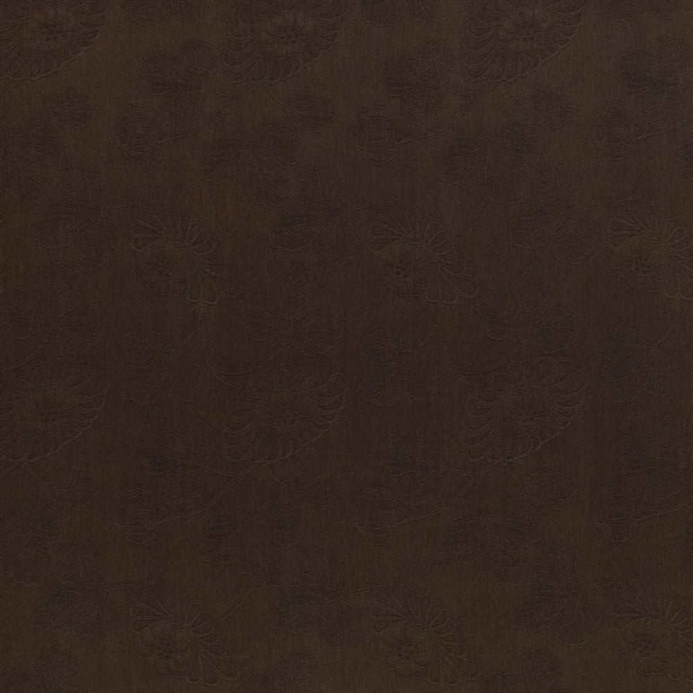 Kashima Tygprov Coffee