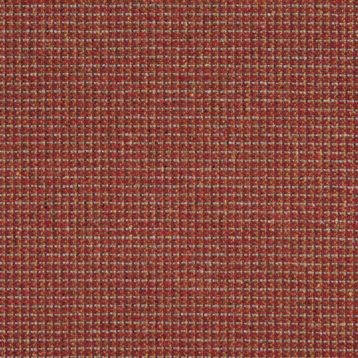 Konja Tygprov Spice
