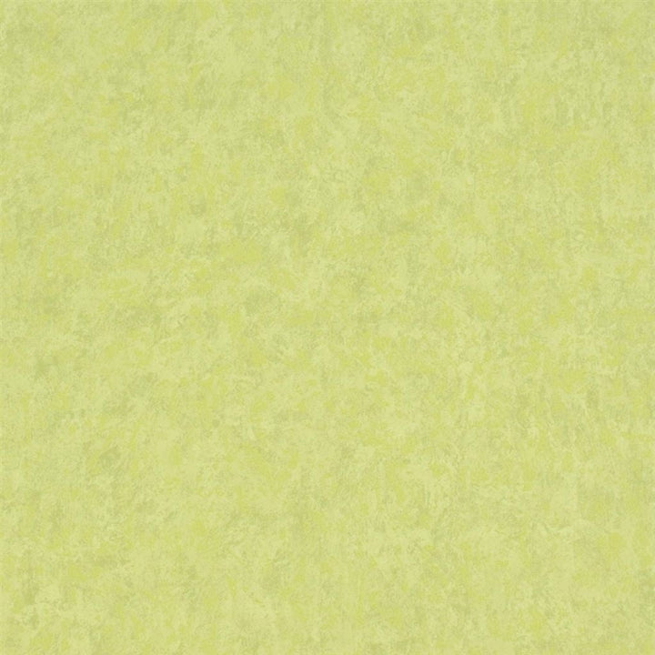 Mayura Tapetprov Moss