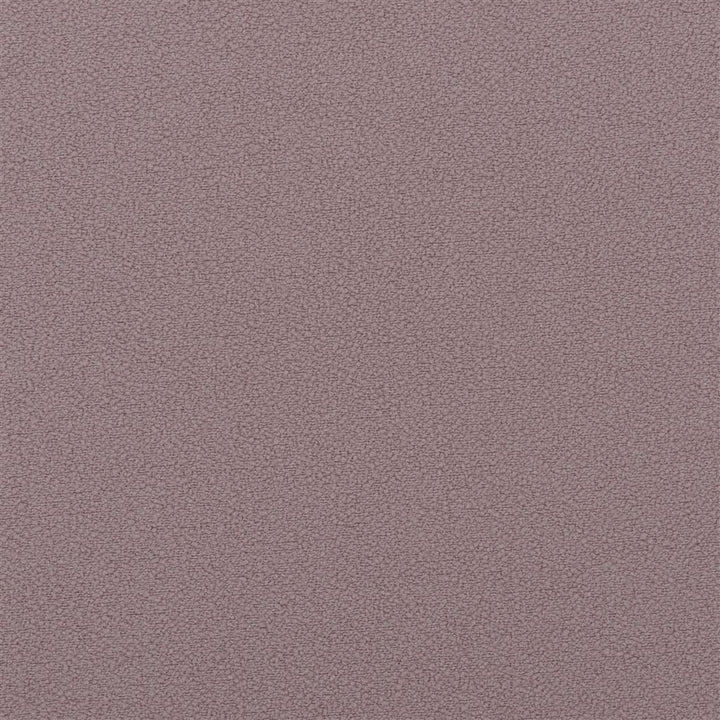 Mezan Stretto Tygprov Orchid