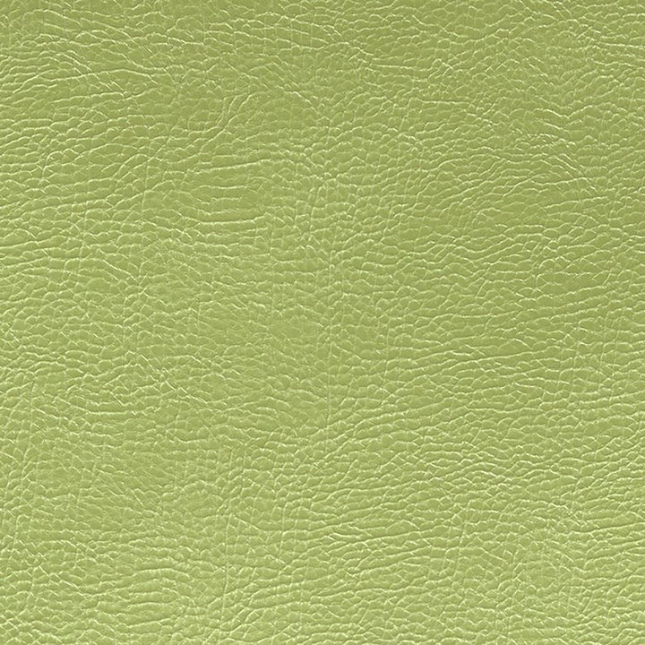 Mojave Tyg prov Grass