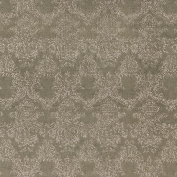 Molano Tygprov Birch
