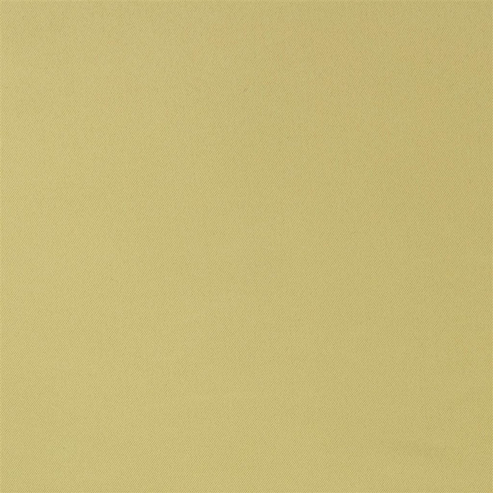 Morona Tygprov Willow