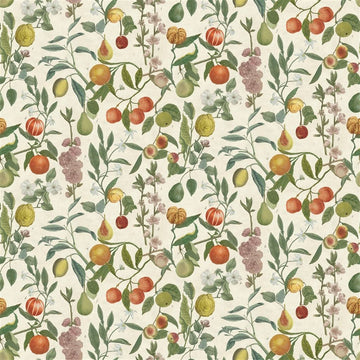 Orchard Fruits Tygprov Parchment