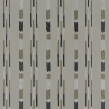 Pachra Tygprov Graphite