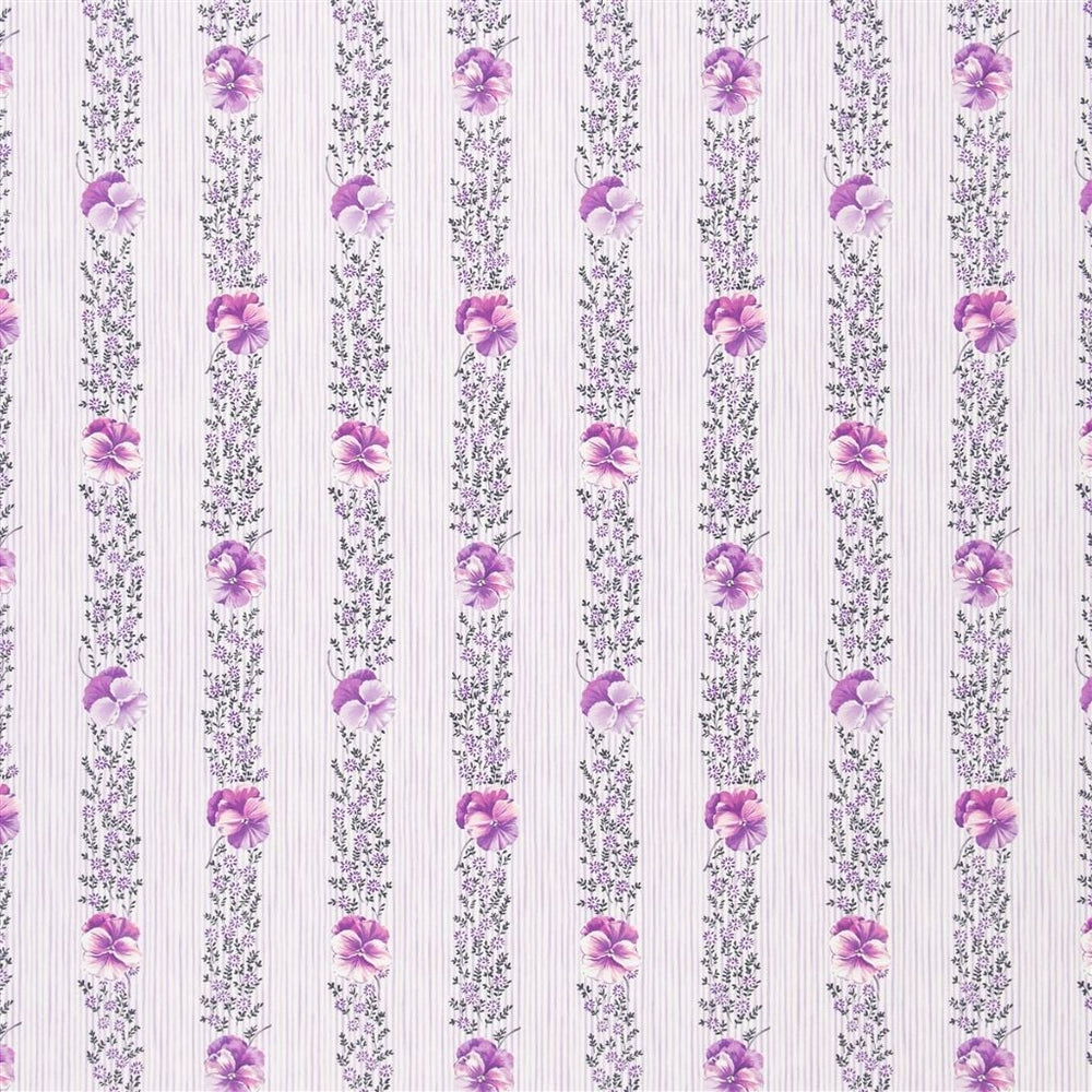 Pansy Stripe Tygprov Crocus