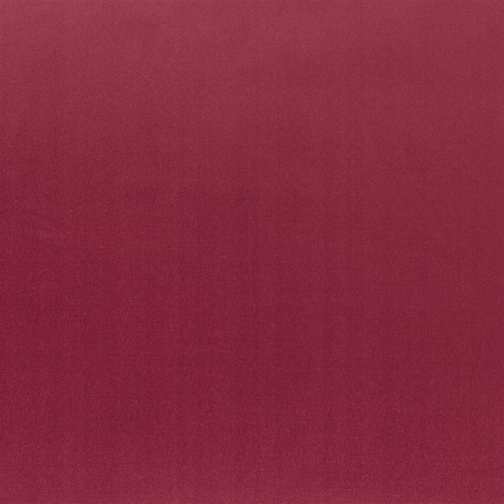 Patia Tygprov Claret