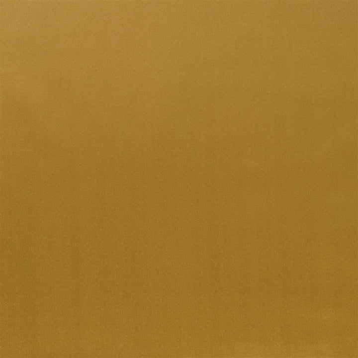 Patia Tygprov Copper