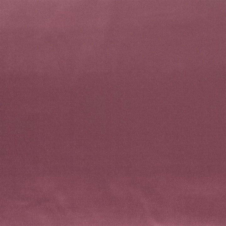 Patia Tygprov Damson