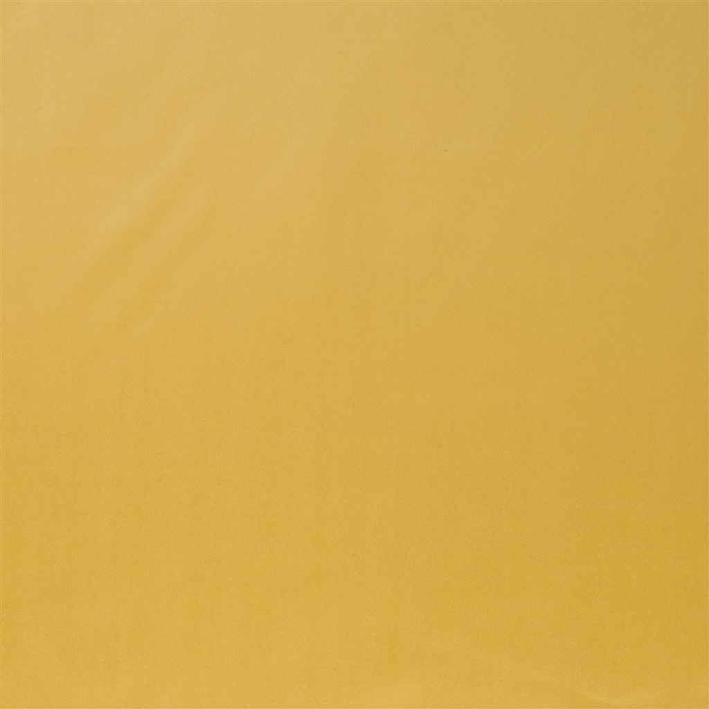 Patia Tygprov Mango
