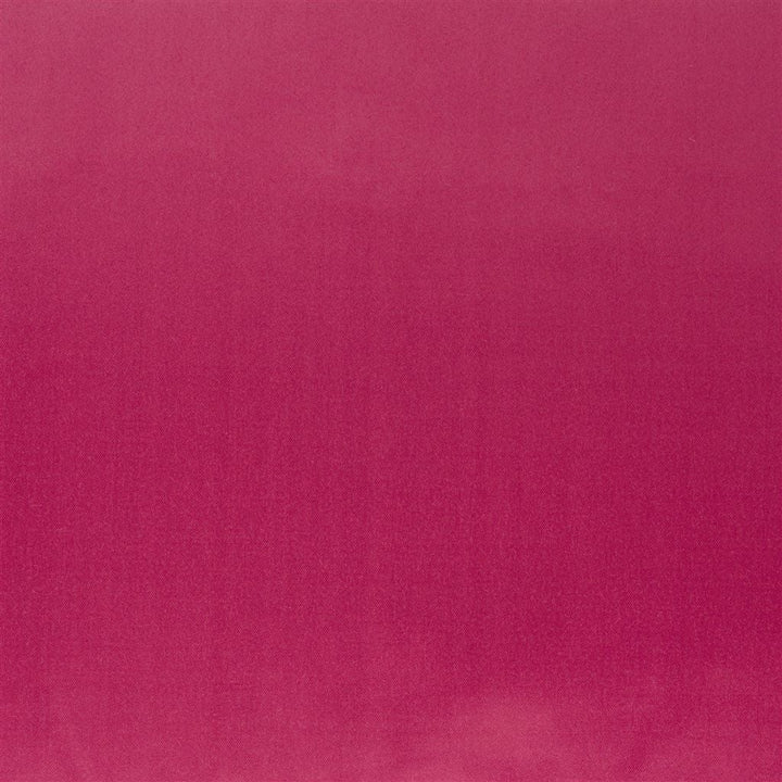 Patia Tygprov Raspberry