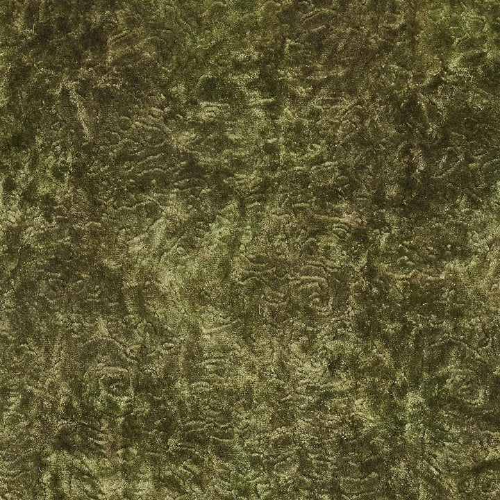 Penwith Tygprov Moss