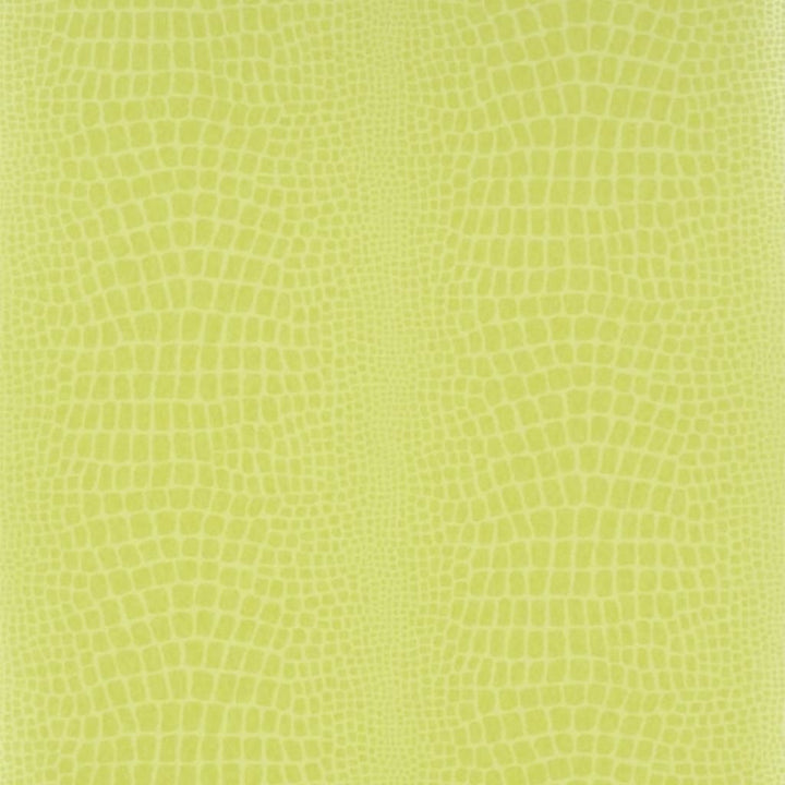 Pietra Tapetprov Grass