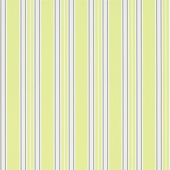 Pinstripe Tapet prov Lime