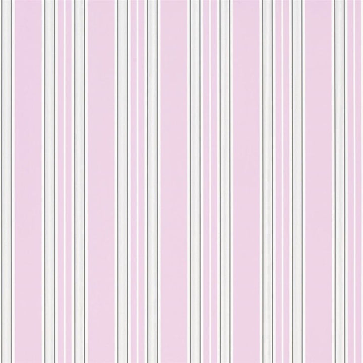 Pinstripe Tapet prov Peony