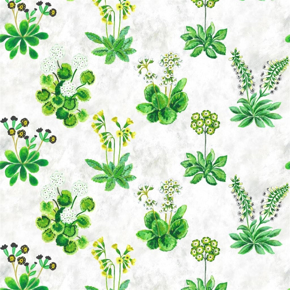 Primevere Tygprov Emerald