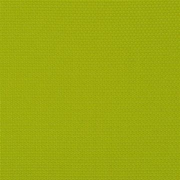 Salt Marsh Tygprov Lime