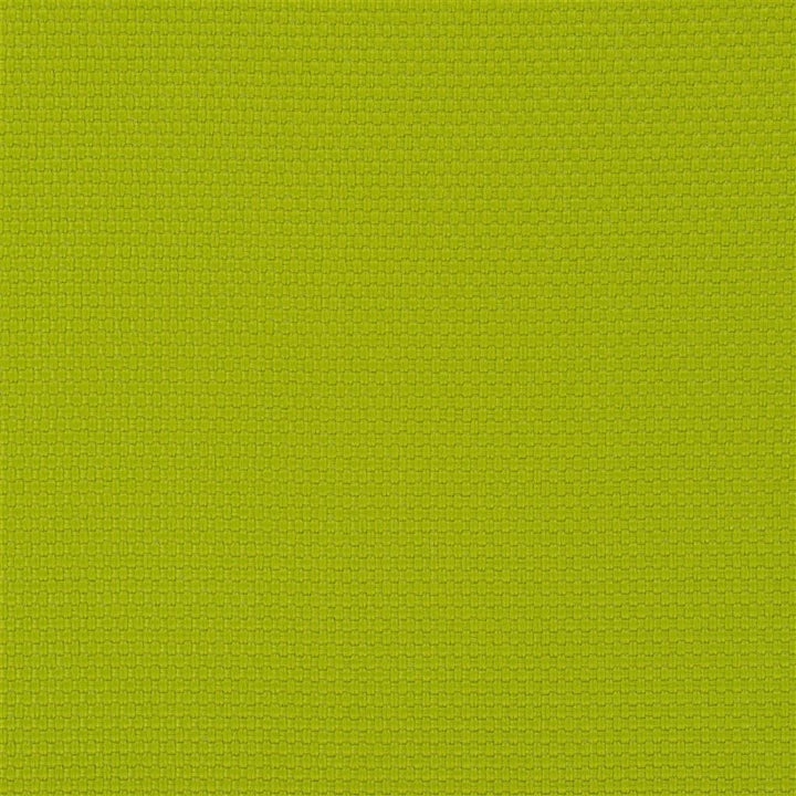 Salt Marsh Tygprov Lime