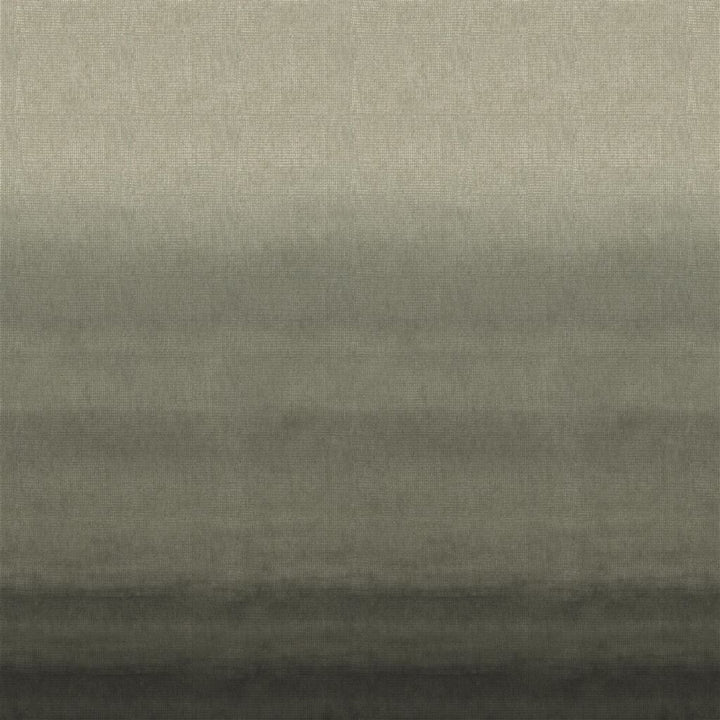 Shoshi Tygprov Graphite