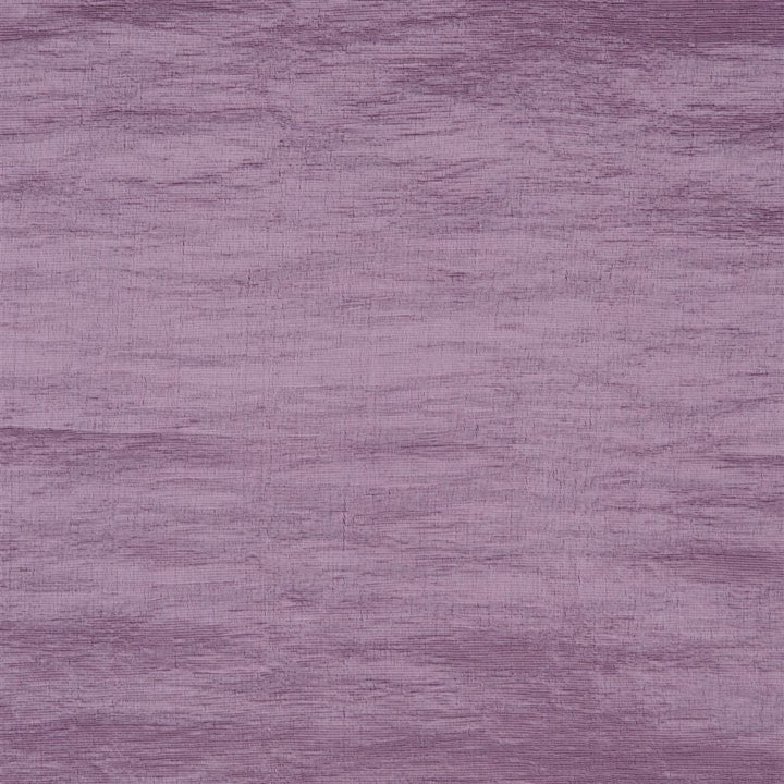 Soury Tygprov Lilac