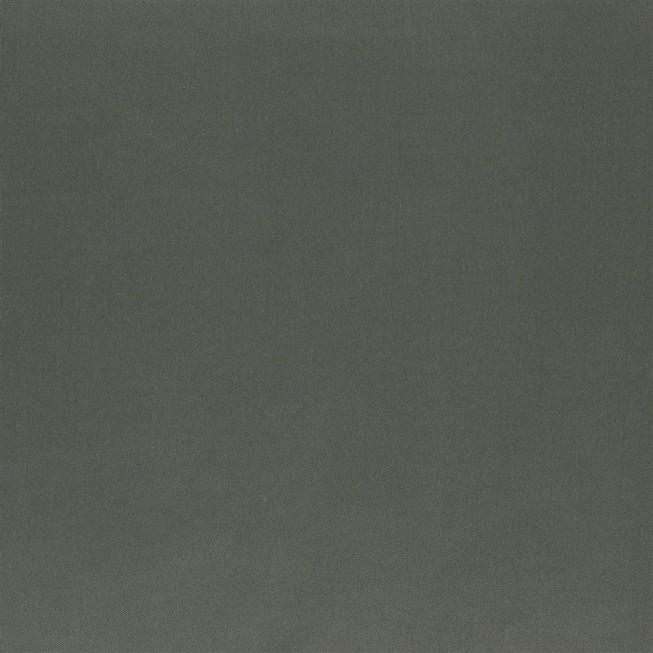 Tanara Tygprov Slate