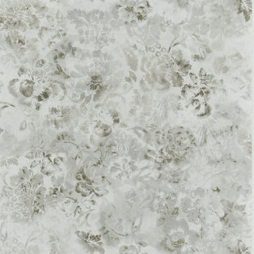 Tarbana Tapetprov Oyster