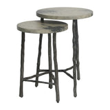 Evie Accent Tables Set of 2 - undefined