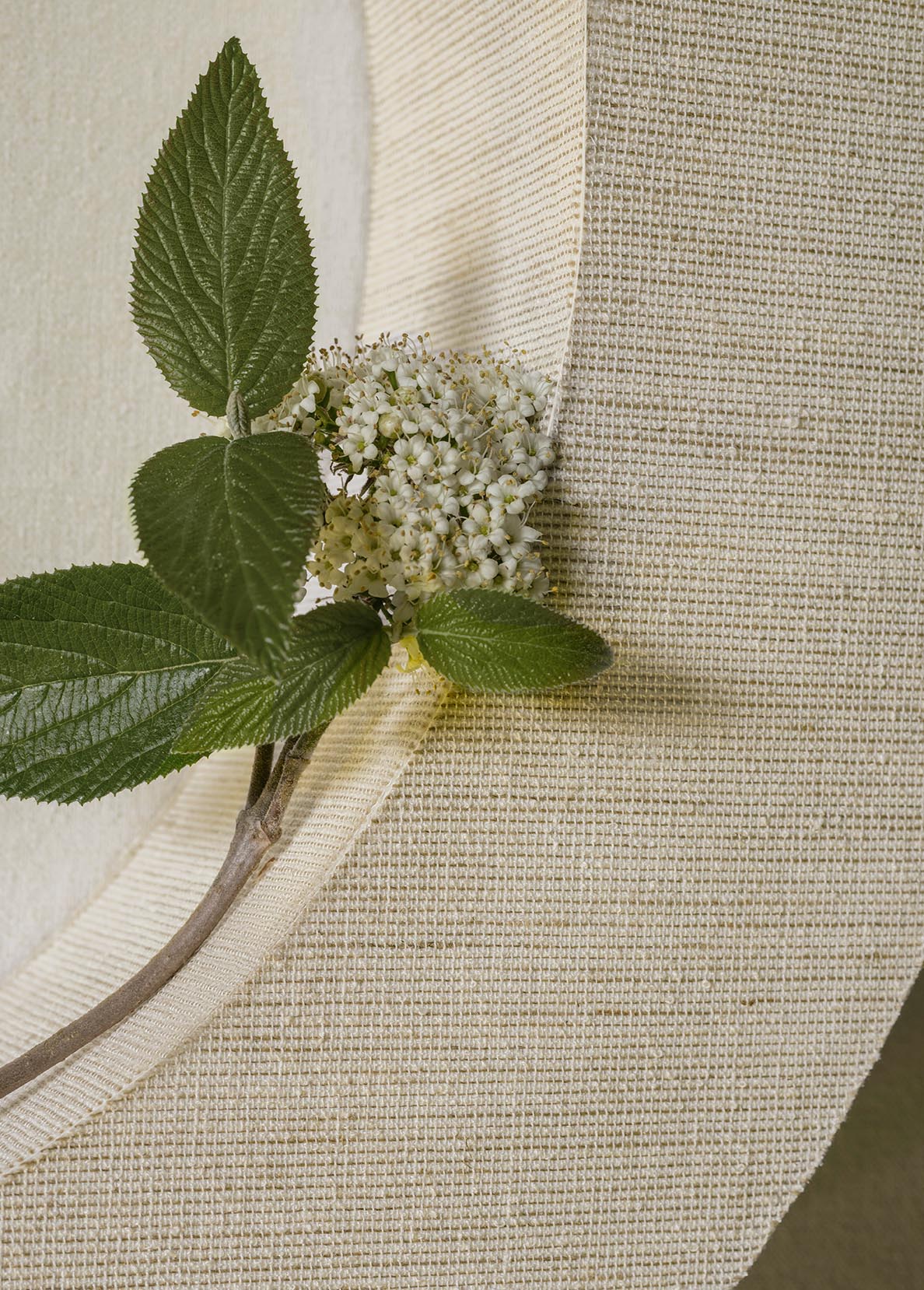 Rita room setting — Pierre Frey wallpaper