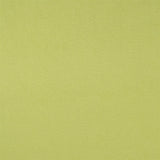 Santiago Pistachio — Designers Guild tyg
