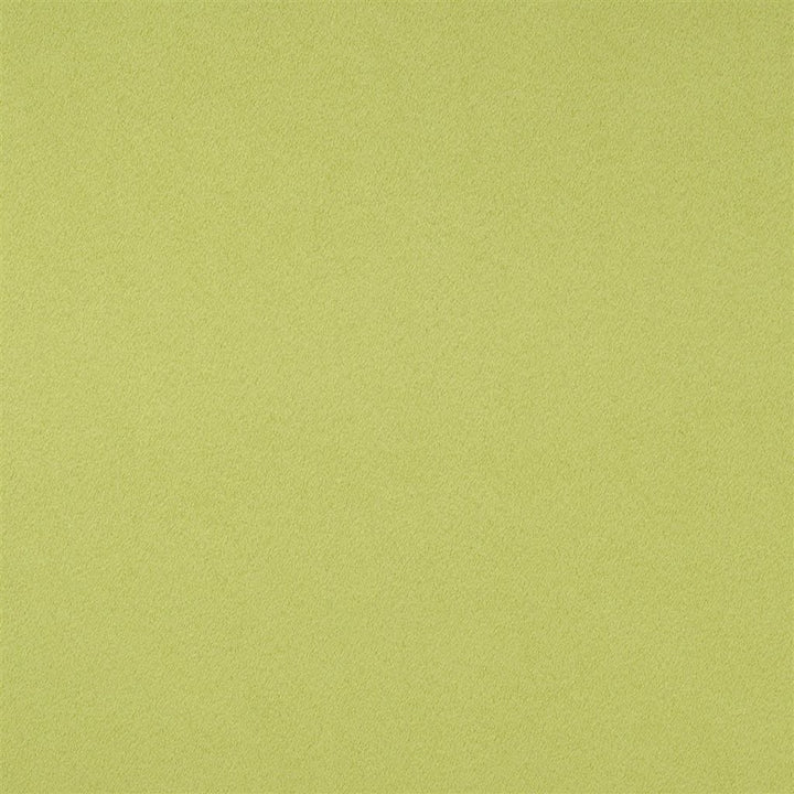 Santiago Pistachio — Designers Guild tyg