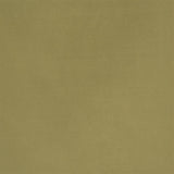 Tanara Pistachio — Designers Guild tyg