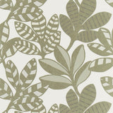 Tanjore Gold — Designers Guild tapet