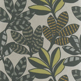 Tanjore Moss — Designers Guild tapet