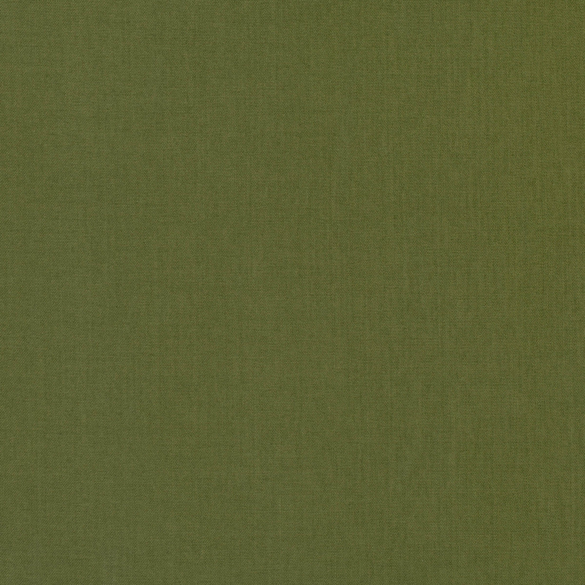 Lucerne Kiwi — Villa Nova tyg