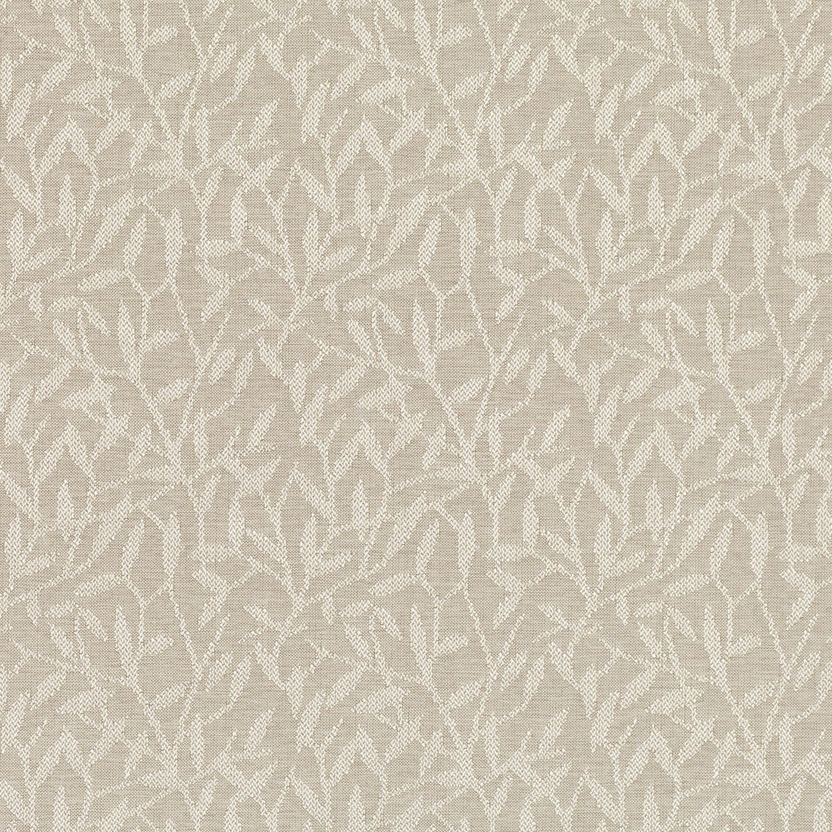 Erin Stucco — Villa Nova tyg